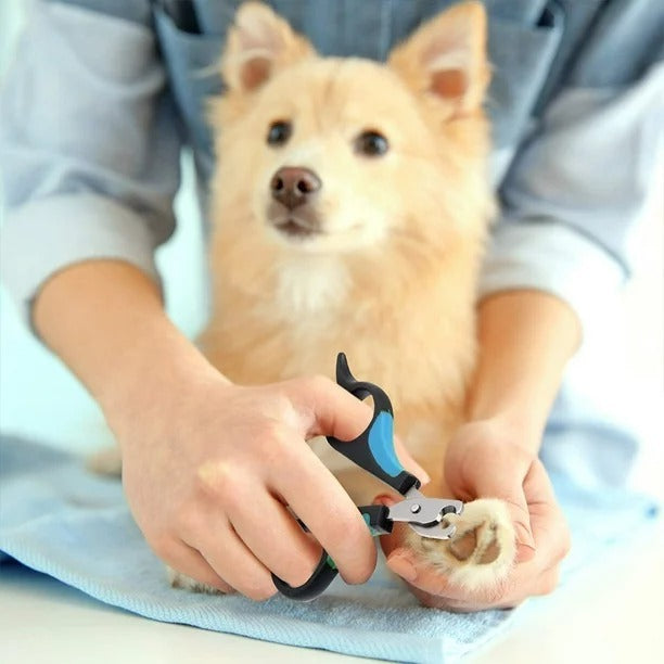 Set De Corta Uñas Estetico Para Mascota